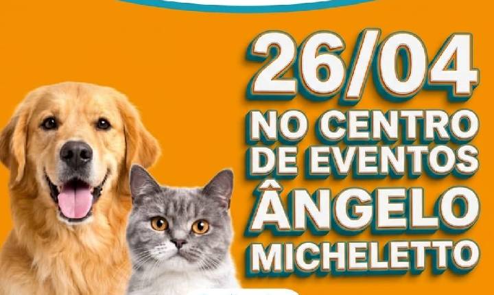 Assis Chateaubriand realizará mutirão de castrações neste domingo pelo Programa CastraPet Paraná