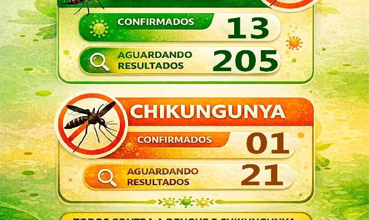 Casos de dengue e chikungunya em Assis Chateaubriand: Boletim epidemiológico atualizado