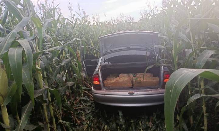 Em Assis Chateaubriand policiais militares Rodoviários apreenderam grande quantidade de maconha