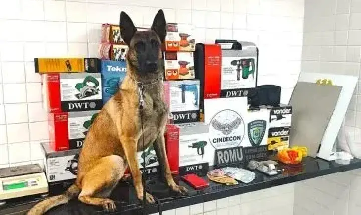 Operação da GM em Cascavel desarticula tráfico e recupera ferramentas furtadas em Corbélia