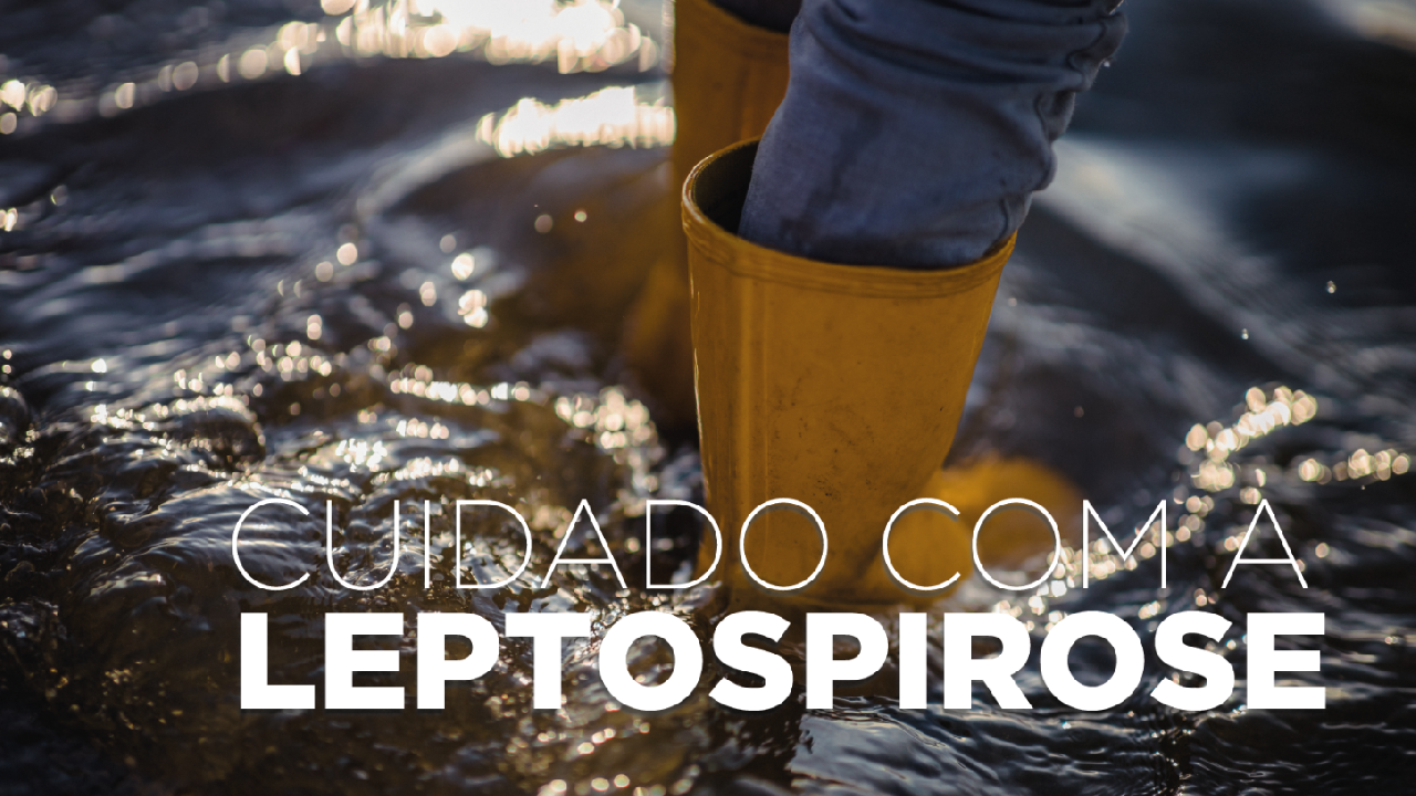 Saúde alerta: leptospirose é doença grave e risco aumenta após chuvas