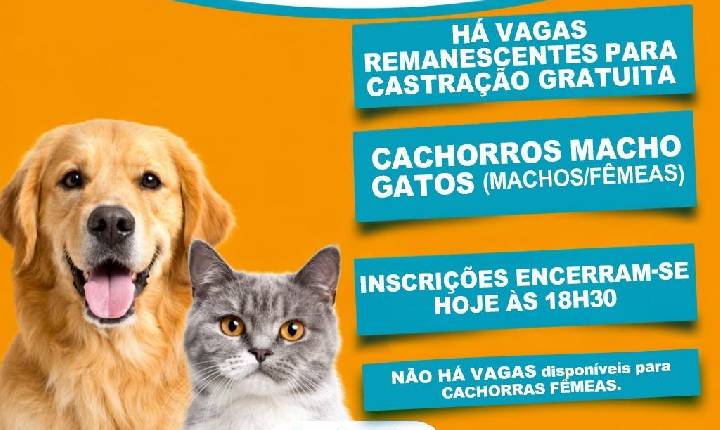 Vagas remanescentes para castração gratuita – Programa Castrapet Paraná