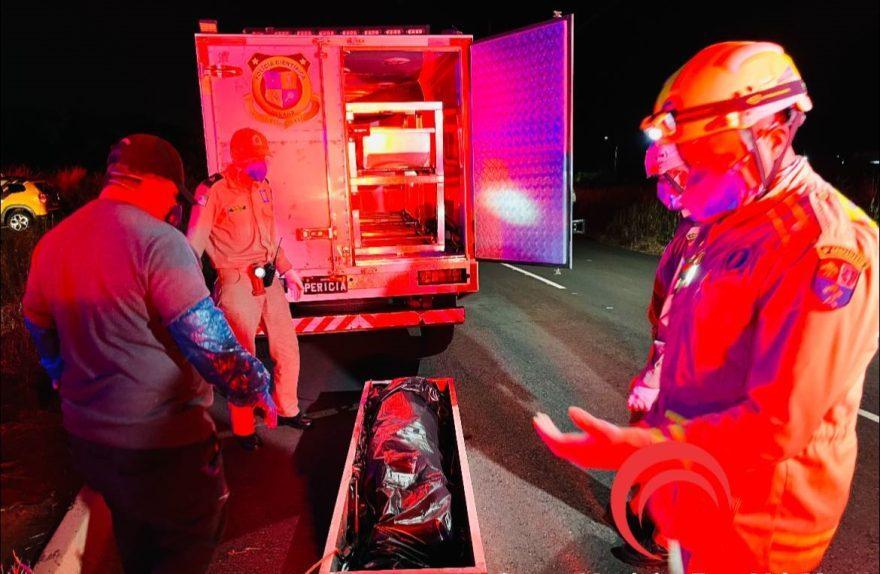 Cachorro corre para matagal durante passeio em Foz, e encontra cadáver coberto de cal