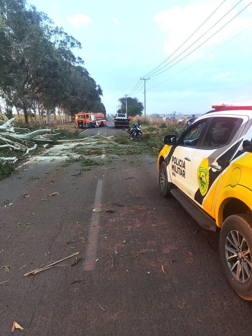 MULHER COM MOTOCICLETA MORRE APÓS ÁRVORE CAIR EM CIMA NA PR-180 EM GUAIRAÇÁ (PR)