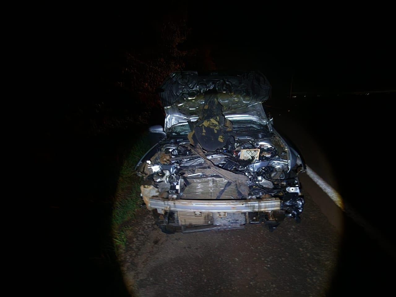 Motorista atropela bovino na PR-182, em Maripá — terceiro acidente registrado no mesmo dia