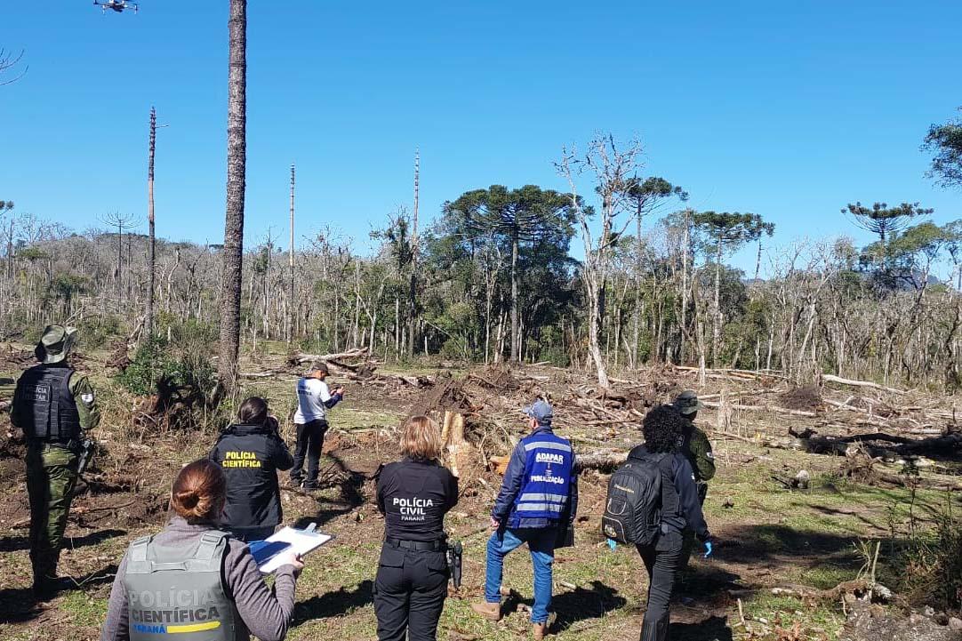 Polícias do Paraná prendem homem por desmatar 106 hectares de floresta em Rio Azul