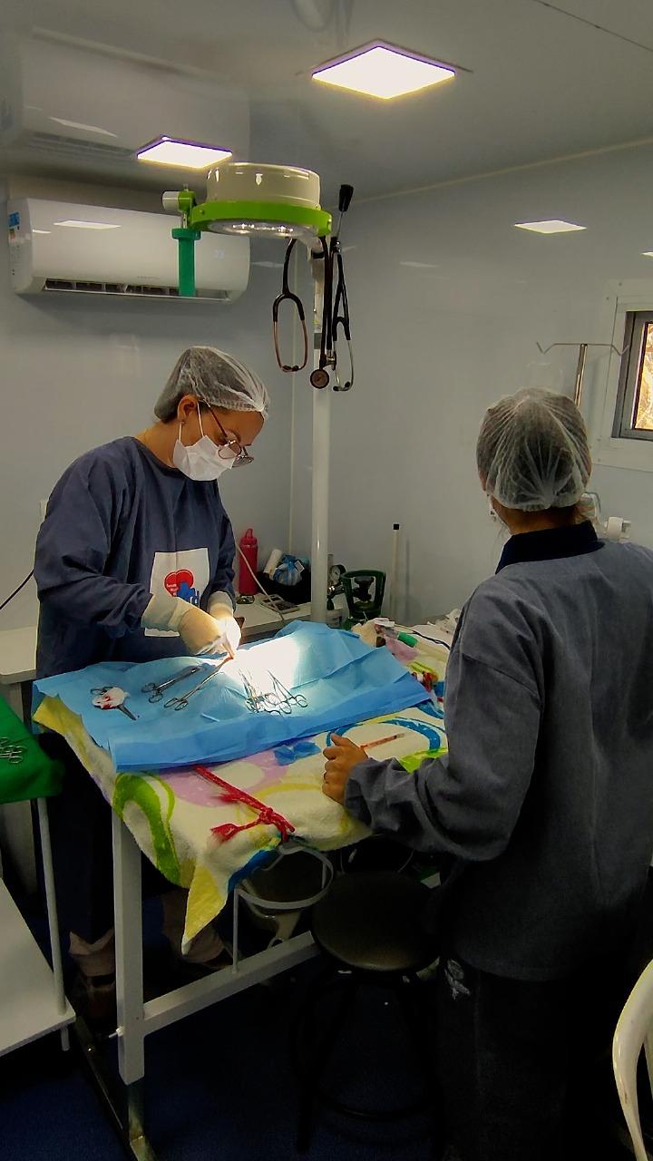 Programa de Castração gratuita de cães e gatos em Assis Chateaubriand