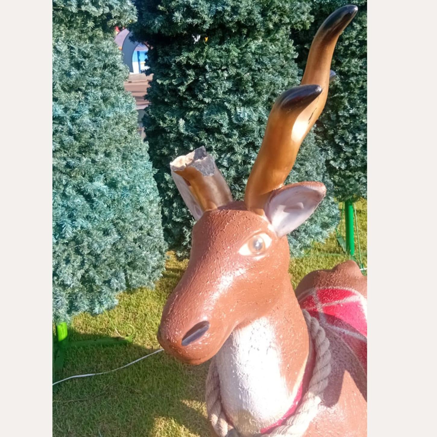 Vandalismo na decoração de Natal gera prejuízo e entristece quem trabalha para deixar a cidade mais bonita