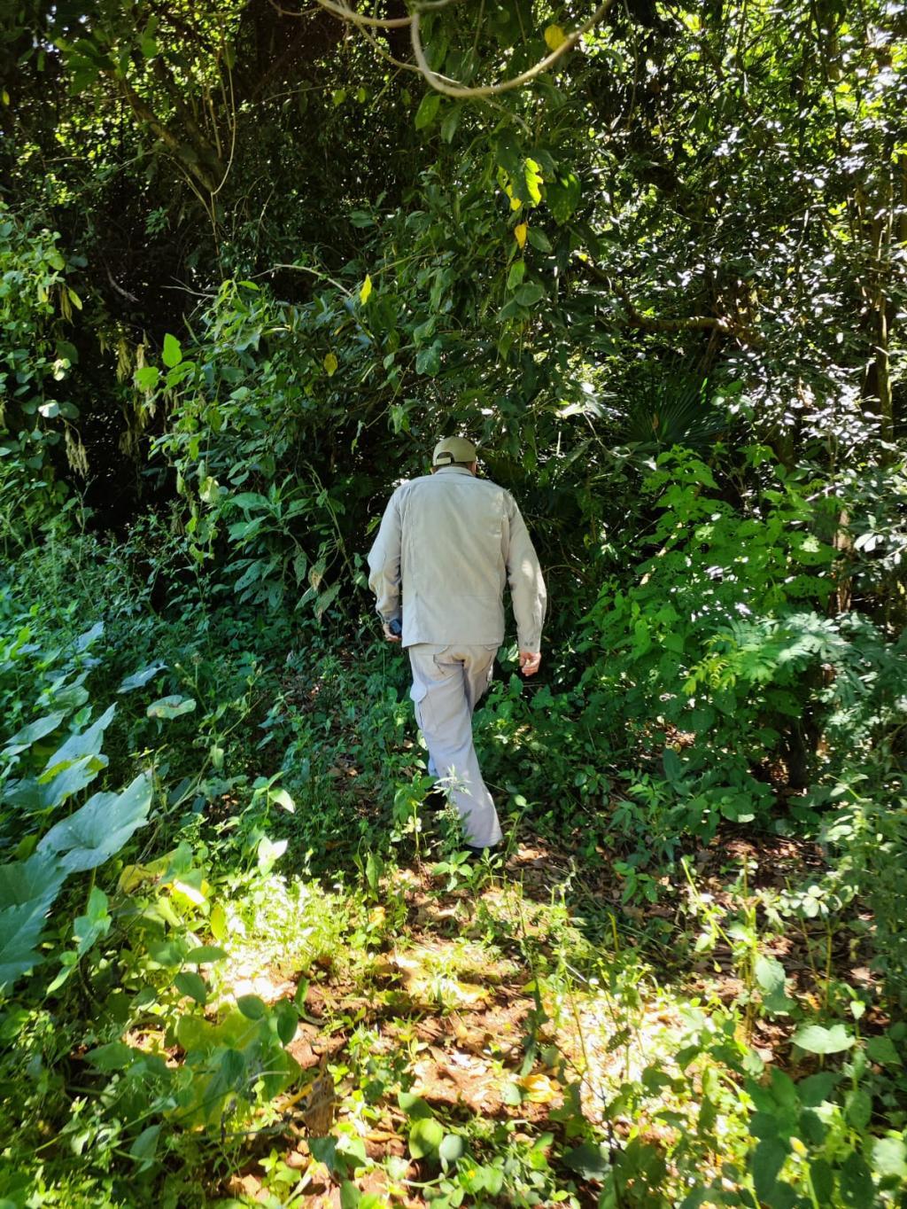 Buscas por Antônio Nunes da Silva avançam com apoio dos Bombeiros e uso de drones, em Toledo