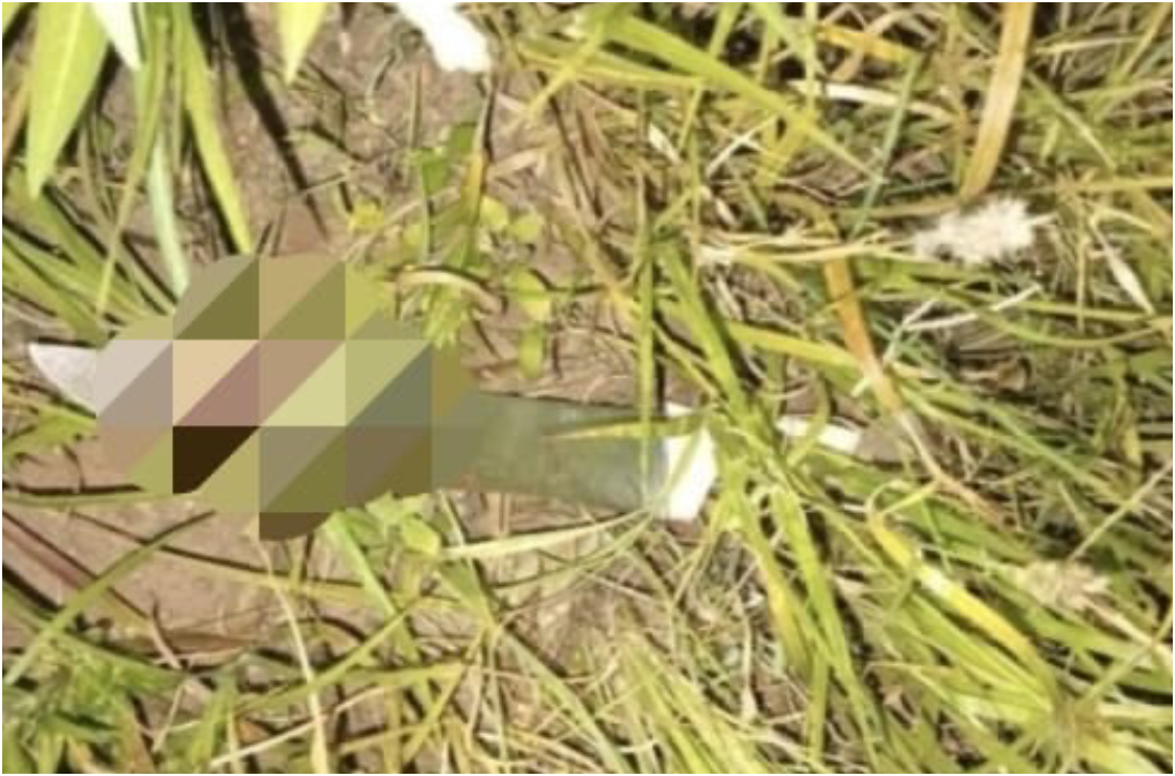 FILHO TENTA MATAR OS PAIS A FACADAS E TENTA SUICÍDIO EM IPORÃ.