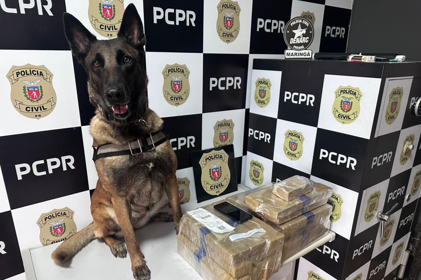 PMPR e PCPR apreendem quase 150 toneladas de drogas com apoio de cães em 2025