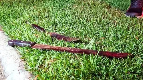 Discussão termina com homem gravemente ferido por golpes de facão no Coqueiral