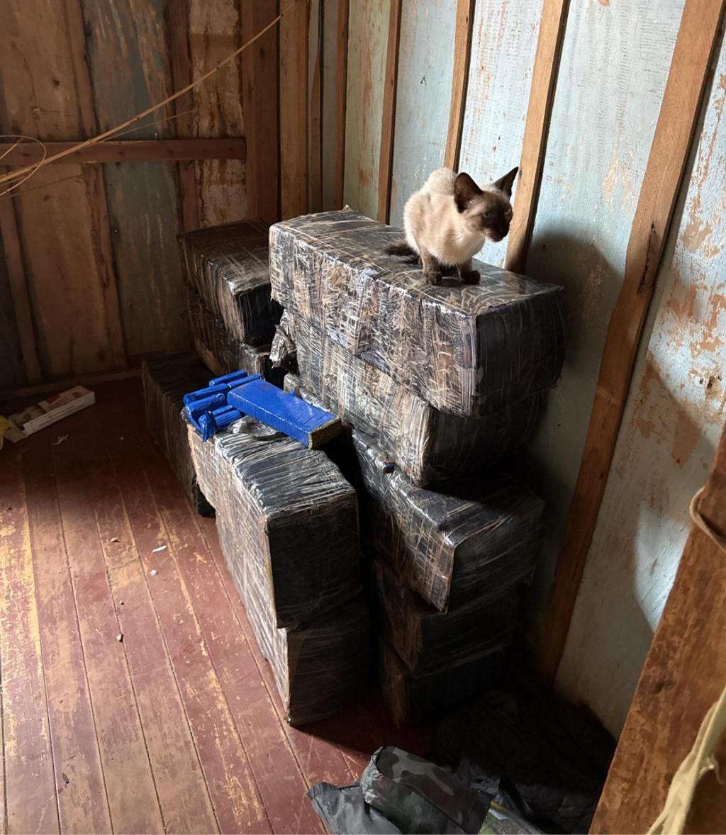 Grande quantidade de maconha é apreendida em casa após movimentação suspeita em Mercedes