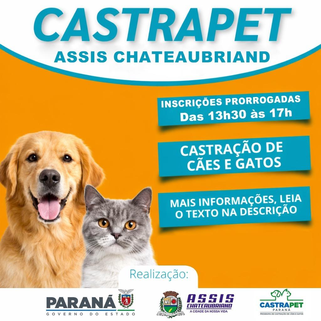 Inscrições para castrações gratuitas de cães e gatos seguem nesta sexta-feira (27)
