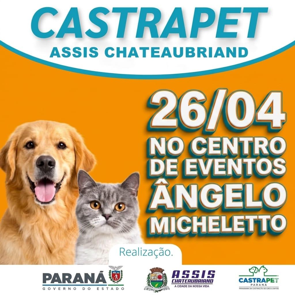 Assis Chateaubriand realizará mutirão de castrações neste domingo pelo Programa CastraPet Paraná