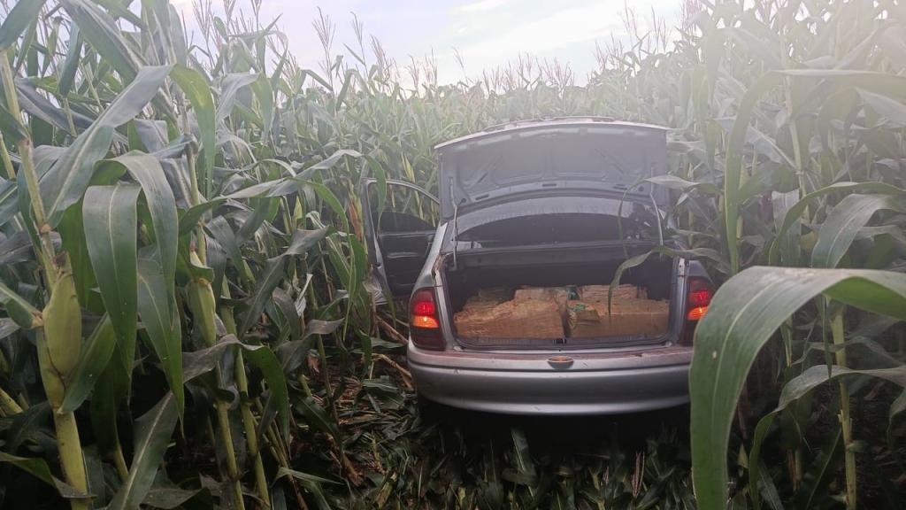 Em Assis Chateaubriand policiais militares Rodoviários apreenderam grande quantidade de maconha