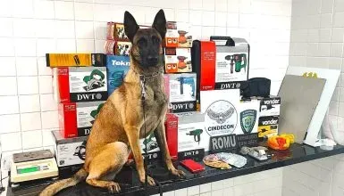 Operação da GM em Cascavel desarticula tráfico e recupera ferramentas furtadas em Corbélia