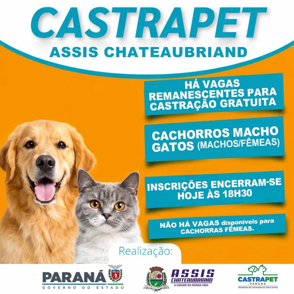 Vagas remanescentes para castração gratuita – Programa Castrapet Paraná